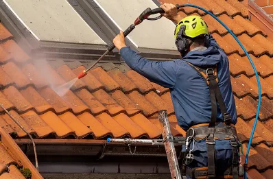 Démoussage et hydrofuge de toiture à Sausheim